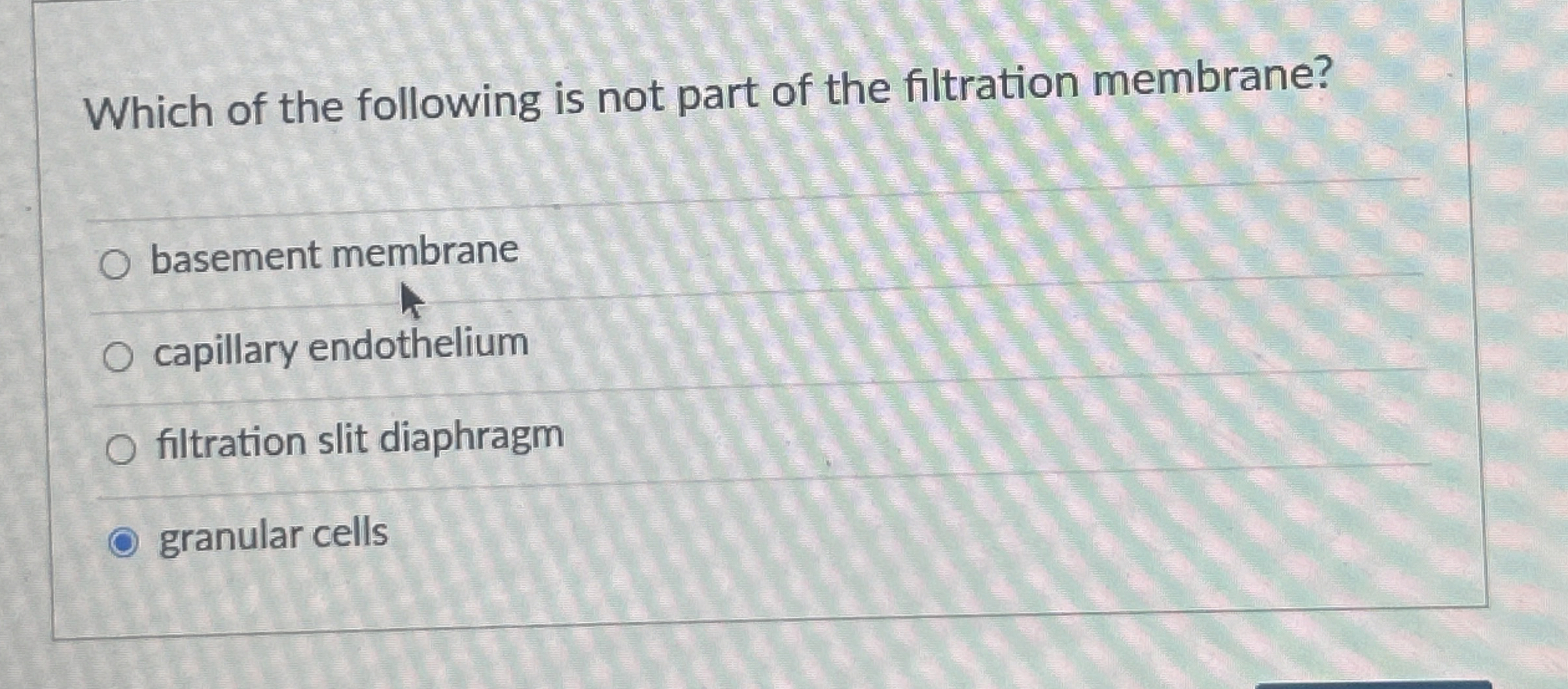 Solved Which of the following is not part of the filtration | Chegg.com