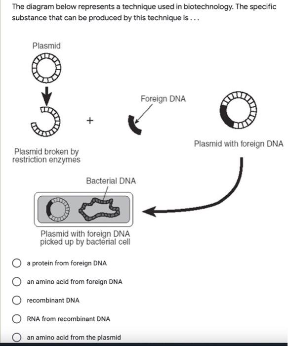 Solved The diagram below represents a technique used in | Chegg.com