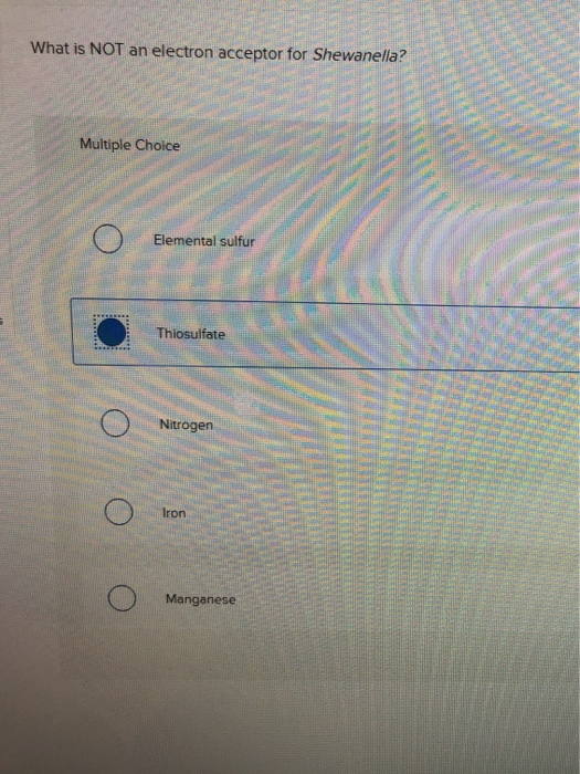 Solved Which of the following metals cannot be used by | Chegg.com