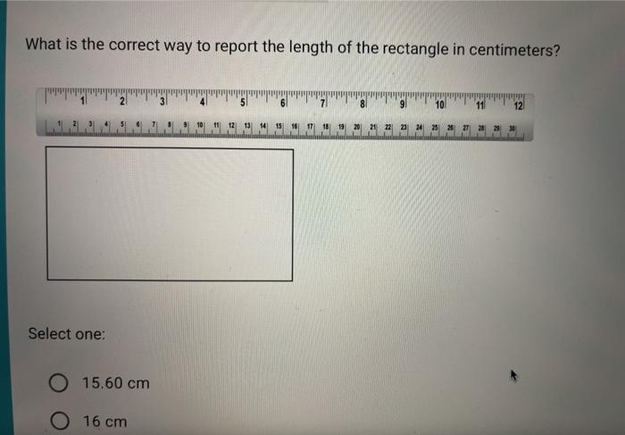 Solved What is the correct way to report the length of the | Chegg.com
