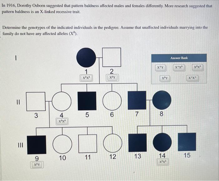 Solved In 1916, Dorothy Osborn suggested that pattern | Chegg.com