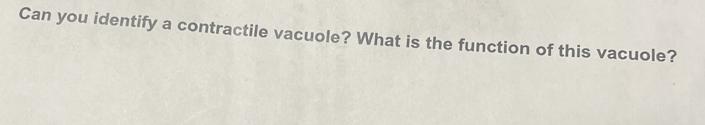 Solved Can you identify a contractile vacuole? What is the | Chegg.com