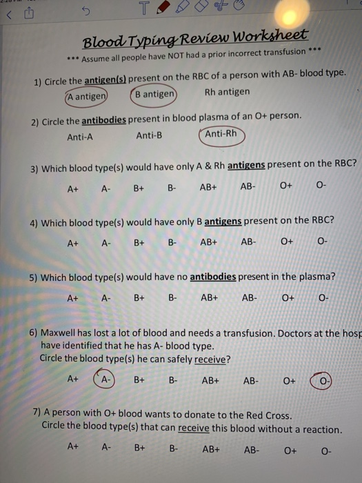 Solved < 5 TO Blood Typing Review Worksheet *** Assume all | Chegg.com