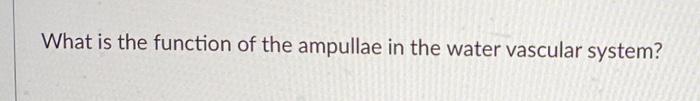 Solved What is the function of the ampullae in the water | Chegg.com