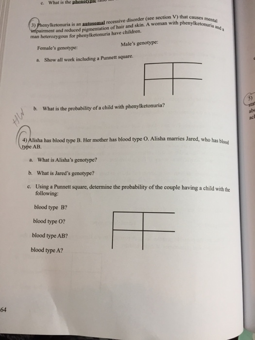 Solved C What Is The Phenoble Auto Causes Mental Ketonur