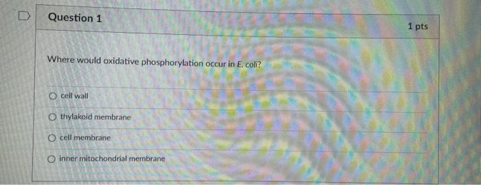 Where would oxidative phosphorylation occur in E. coli?
cell wall
thylakoid membrane
cell membrane
inner mitochondrial membra