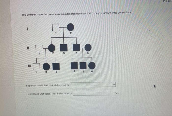 Solved POSSIE This pedigree tracks the presence of an | Chegg.com