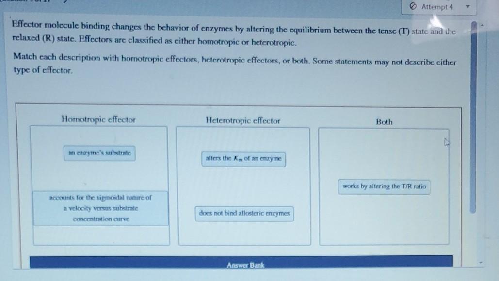 Solved Attempt 1 Effector molecule binding changes the