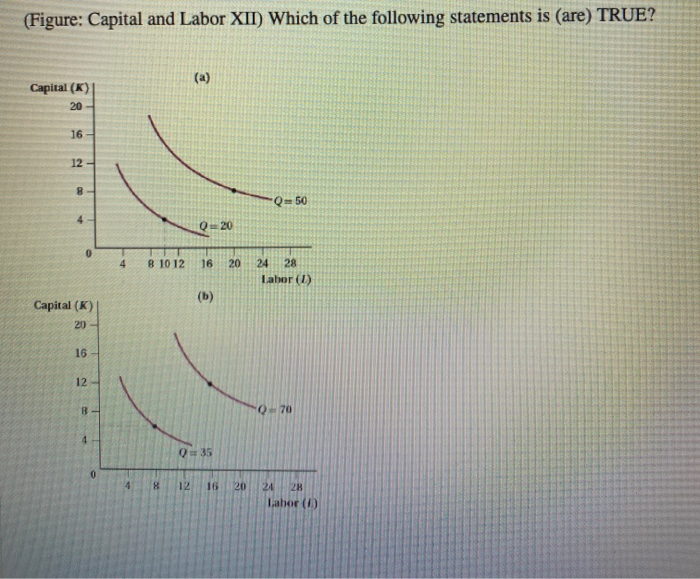 Solved (Figure: Capital and Labor XII) Which of the | Chegg.com