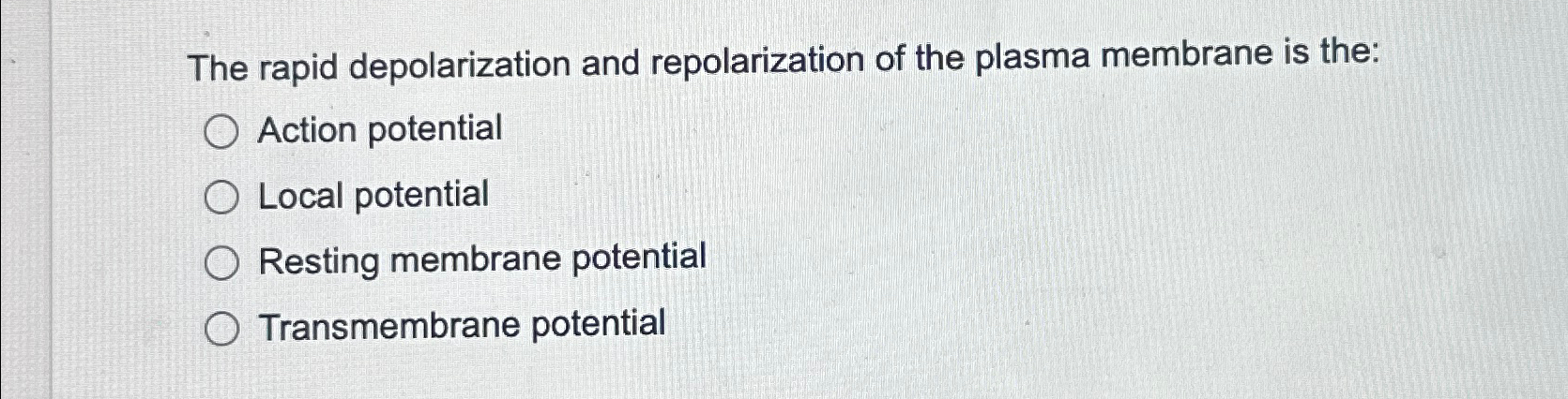 what causes the rapid depolarization of the membrane during an action potential