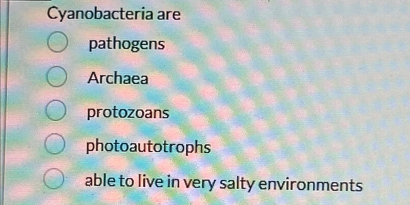 Solved Cyanobacteria Chegg