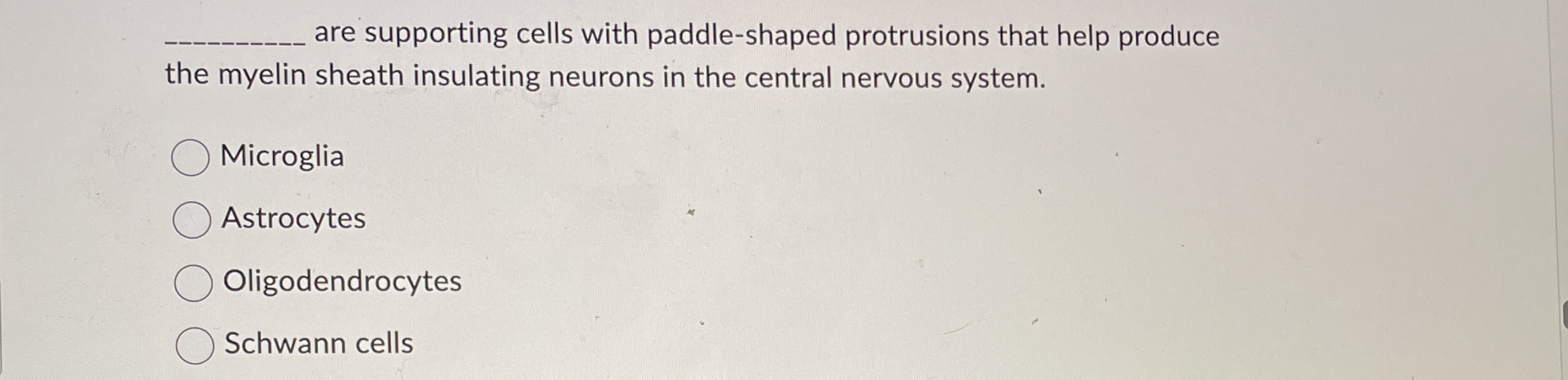 Solved are supporting cells with paddle-shaped protrusions | Chegg.com