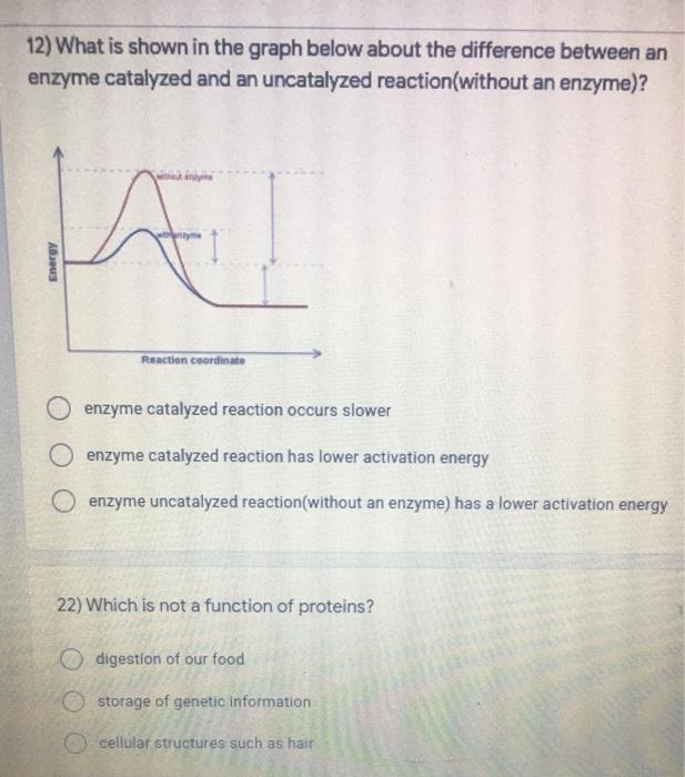 Solved 12) What is shown in the graph below about the | Chegg.com