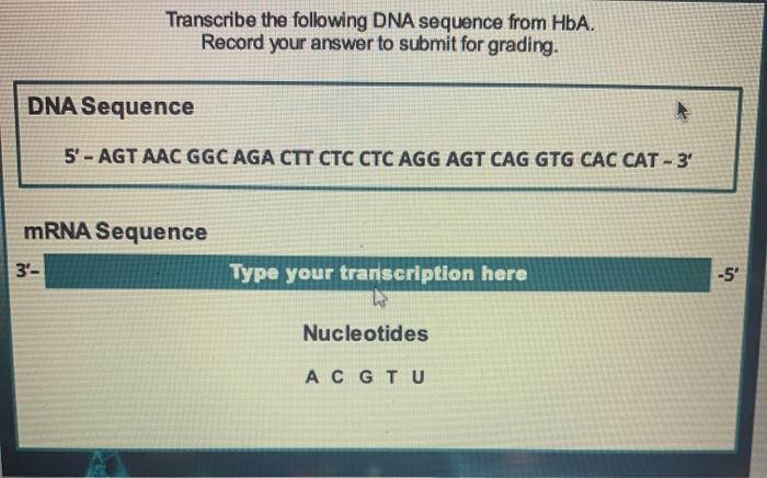 Solved Transcribe The Following DNA Sequence From HbA. | Chegg.com