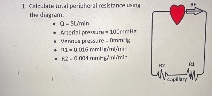 Solved BF 1. Calculate Total Peripheral Resistance Using The | Chegg.com