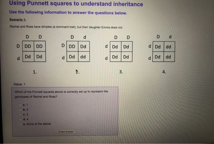 Solved Using Punnett Squares To Understand Inheritance Use 7838
