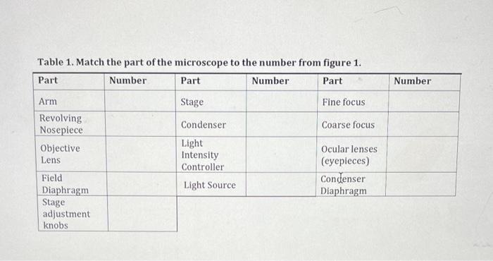 Solved Table 1. Match the part of the microscope to the | Chegg.com