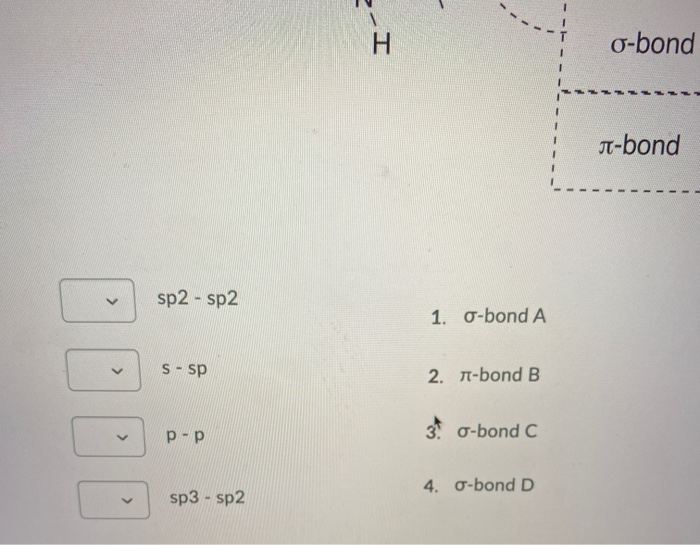 Solved Question 15 (8 points) For the following molecule, | Chegg.com