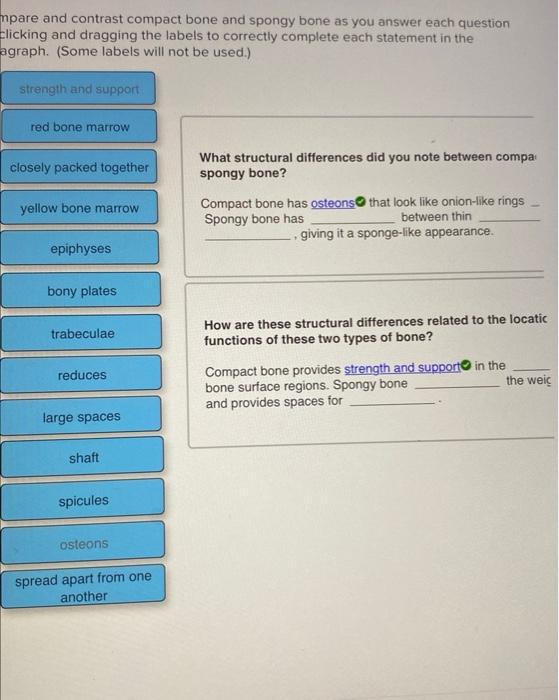 npare and contrast compact bone and spongy bone as you answer each question clicking and dragging the labels to correctly com