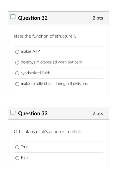 state the function of structure I.
makes ATP
destroys microbes ad worn out cells
synthesized lipids
make spindle fibers durin