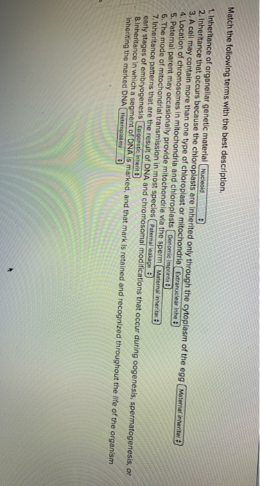 Solved Match the following terms with the best description. | Chegg.com