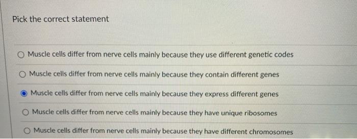 solved-pick-the-correct-statement-muscle-cells-differ-from-chegg