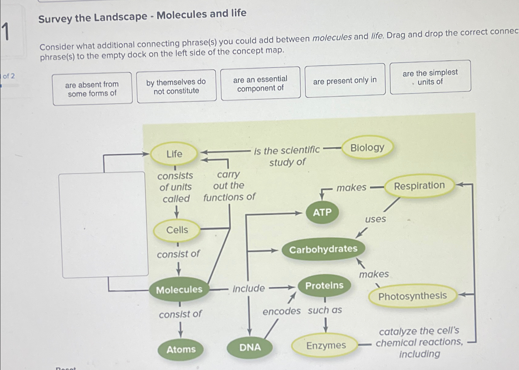 Solved Survey the Landscape - ﻿Molecules and lifeConsider | Chegg.com