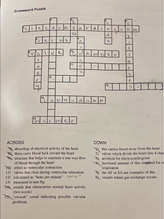 Solved Crossword Puzzle Chegg com