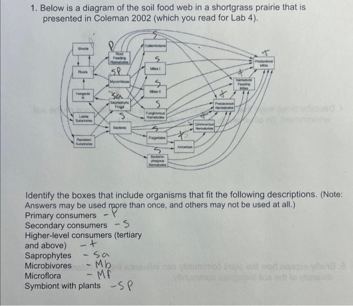 student submitted image, transcription available below