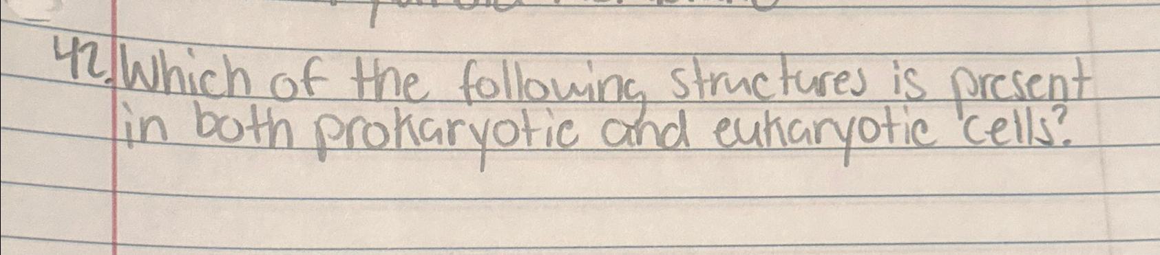 which of the following structures is present in both prokaryotic cells