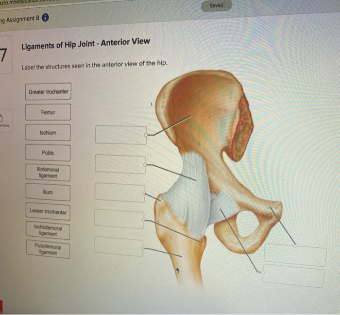 assignment on hip joint