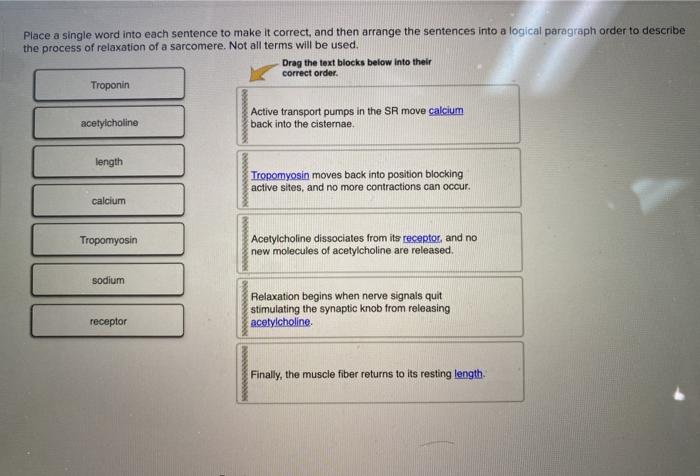 Solved Place A Single Word Into Each Sentence To Make It Chegg