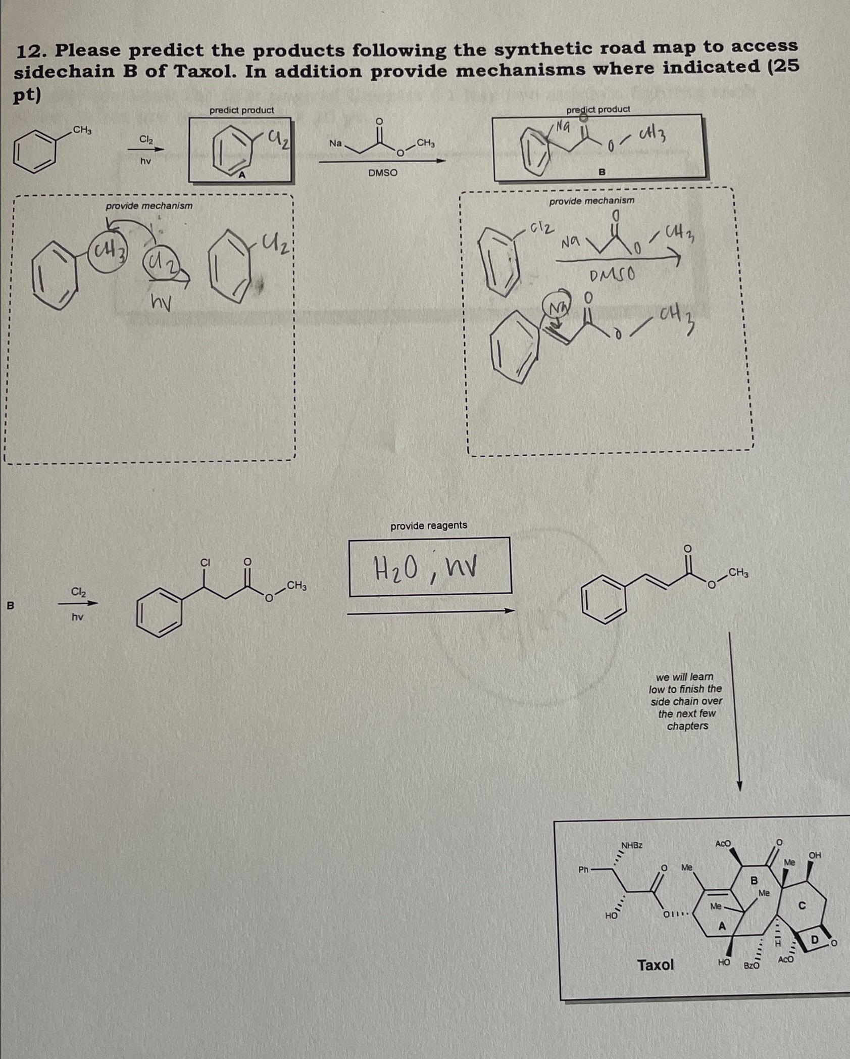 Solved Please Predict The Products Following The Synthetic | Chegg.com