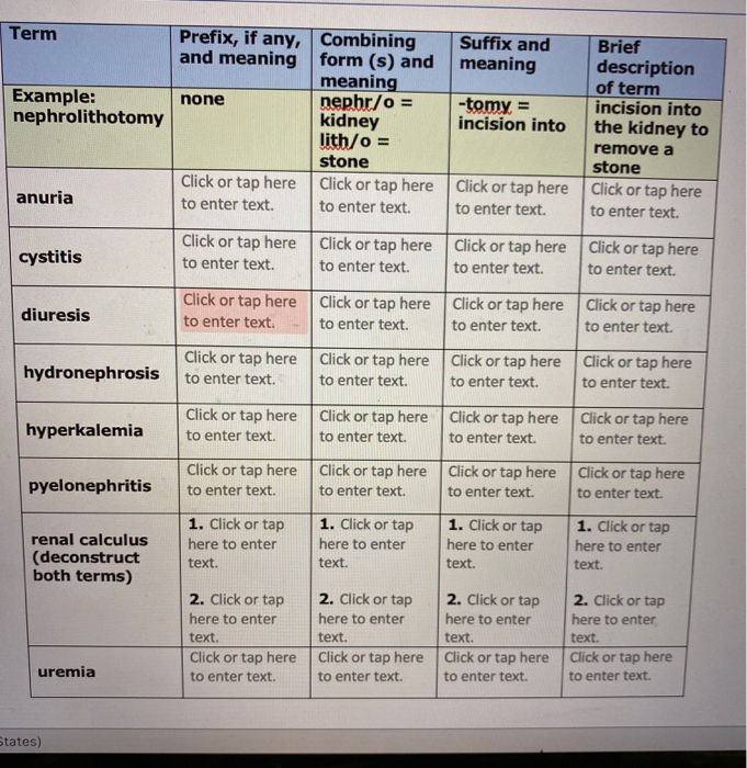 Solved Term Suffix And Meaning Example Nephrolithotomy Chegg Com