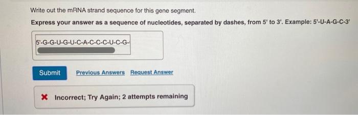 Solved A portion of the coding strand of DNA for a gene has | Chegg.com