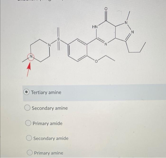 Solved N Tertiary amine Secondary amine Primary amide | Chegg.com
