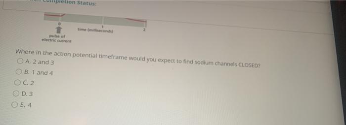 pletion Status: pube of electric current Where in the action potential timeframe would you expect to find sodium channels CLO