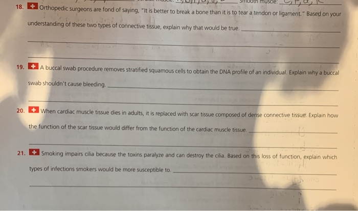 Solved muscle 18. + Orthopedic Surgeons are fond of saying 