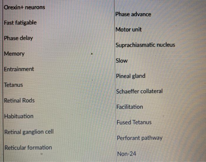Solved Term that refers to an a motor neuron and the muscle | Chegg.com