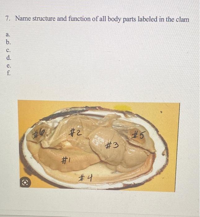 Solved 7. Name structure and function of all body parts | Chegg.com