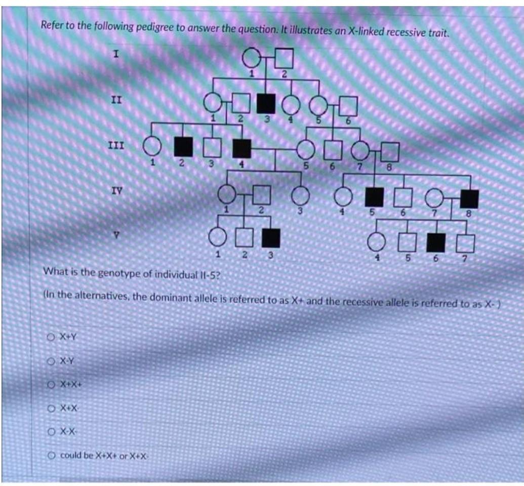 Solved Refer to the following pedigree to answer the | Chegg.com