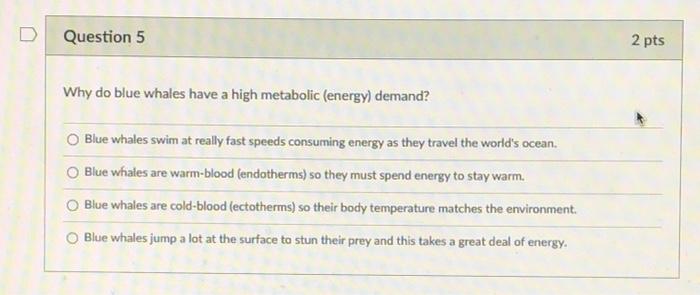 Solved D Question 5 2 pts Why do blue whales have a high | Chegg.com