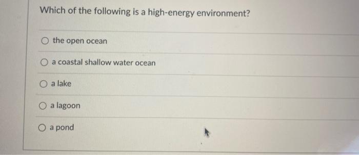 Which of the following is a high-energy environment? o the open ocean O a coastal shallow water ocean O a lake O a lagoon O a