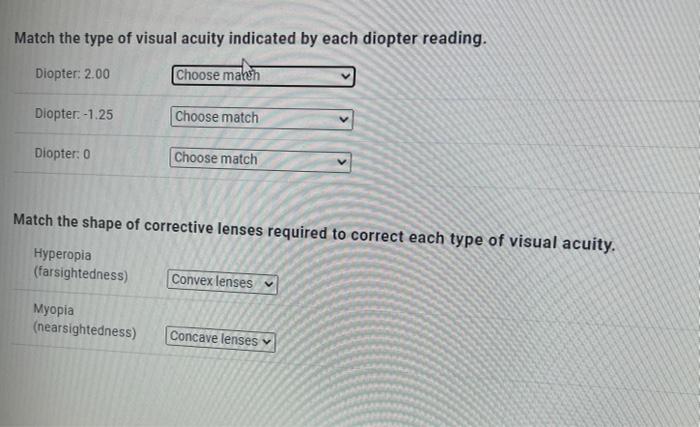 Solved Match the type of visual acuity indicated by each | Chegg.com