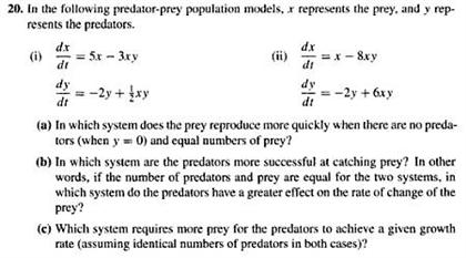 predator vs prey calculus