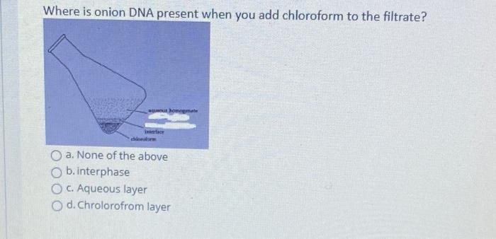 Solved Where is onion DNA present when you add chloroform to | Chegg.com