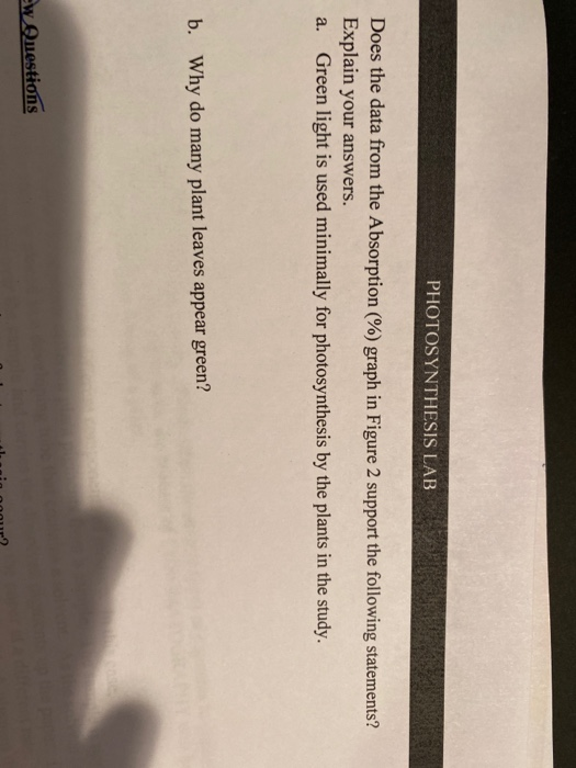Solved: Table 1: Chromatography Of Plant Pigments Colored | Chegg.com