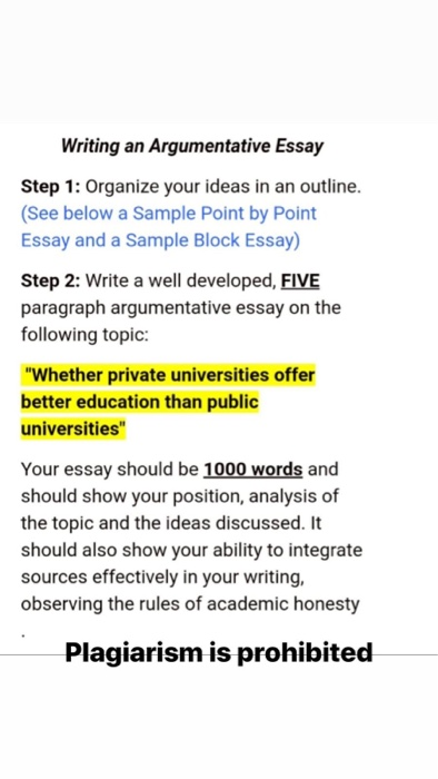 argumentative essay format