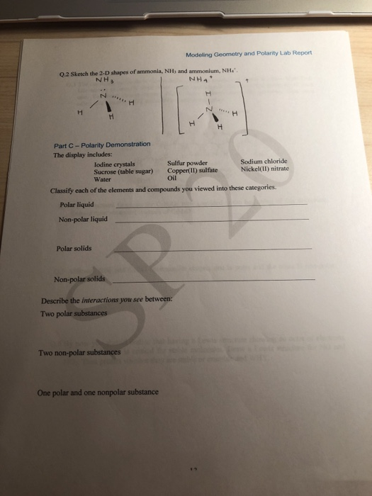 Solved Modeling Geometry and Polarity Lab Report 0.2 Sketch