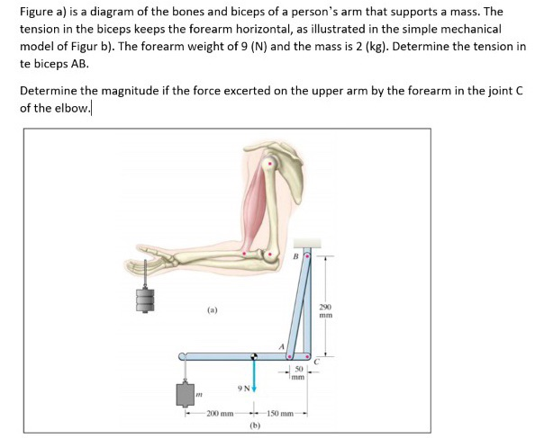 Solved Figure a) is a diagram of the bones and biceps of a | Chegg.com